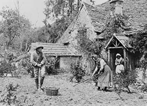 Graystone: Digging a vegetable patch, 1890s