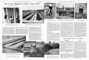 Allotment: What digging for victory really means, 1940