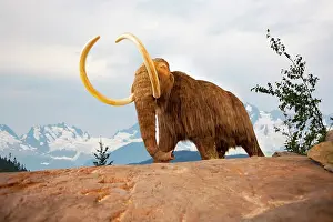 Remained: Digital illustration of a woolly mammoth, Mammuthus
