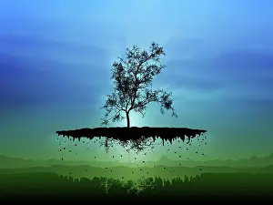 Contour: Digitally generated image of a flying tree