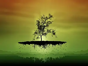 Contour: Digitally generated image of a flying tree