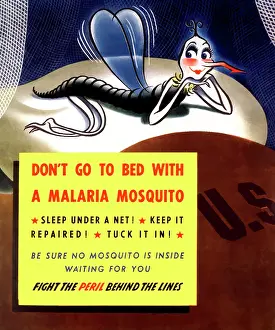 Mosquito: Digitally restored war propaganda poster