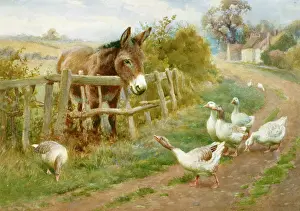 Bottomley: Dignity and Impudence ' donkey & geese