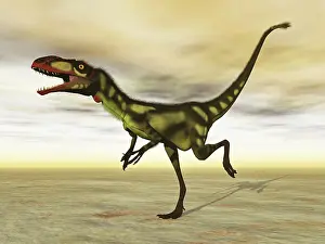 Tyrannosauroid: Dilong dinosaur in the desert