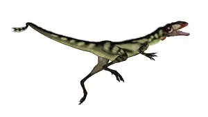 Dilong: Dilong dinosaur jumping