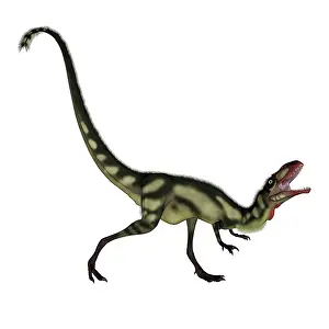 Dilong: Dilong dinosaur roaring