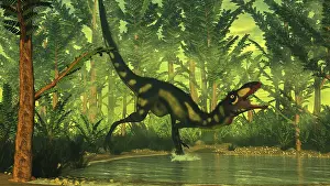 Tyrannosauroid: Dilong dinosaur running through a forest