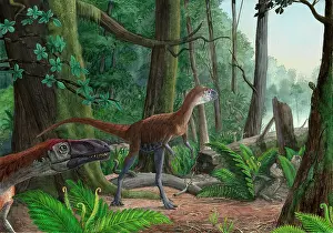 Searching: Dilong paradoxus strolling around the woods in search of ?