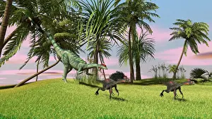 Sinemurian: A Dilophosaurus chasing two Gigantoraptors across a grassy ?