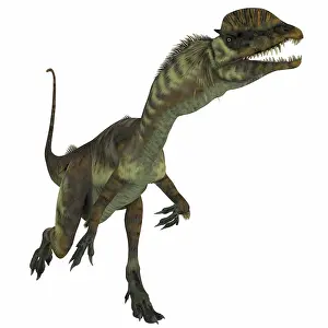 Wetherilli: Dilophosaurus dinosaur