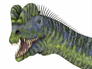 Spiked: Dilophosaurus dinosaur head
