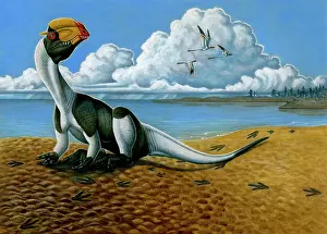 Wetherilli: A Dilophosaurus dinosaur sitting in mud