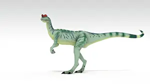 Sinemurian: Dilophosaurus dinosaur, white background