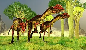 Genus: Dilophosaurus dinosaurs on the hunt