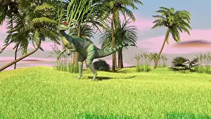 Sinemurian: Dilophosaurus hunting in a field for its next meal
