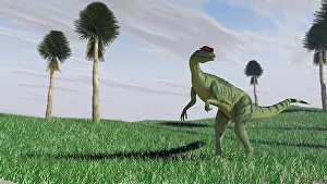 Sinemurian: Dilophosaurus hunting for its next meal in an open field