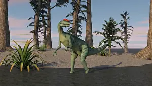 Sinemurian: Dilophosaurus standing in shallow water