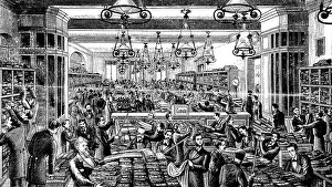 Wholesaler: Dimensioning of masculine fabrics
