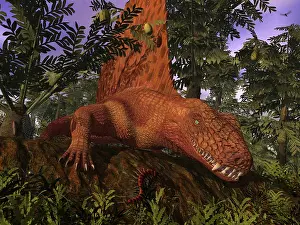 Crawling: A Dimetrodon amongst Alethopteris ferns