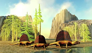 Crawling: Dimetrodon predators stick together looking for