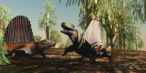 Synapsid: Dimetrodon reptiles in a territorial dispute during