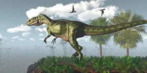 Dimorphodon: Dimorphodon pterosaurs fly over a Monolophosaurus