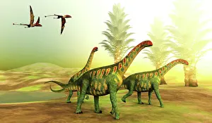 Sahara: Dimorphodon pterosaurs follow a herd of Jobaria
