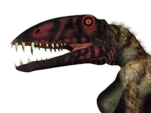 Dimorphodon: Dimorphodon reptile head