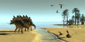 Stegosaurus: Dimorphodon reptiles fly over two Stegosaurus