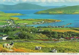Dingle: Dingle Town and Harbour, County Kerry, Ireland
