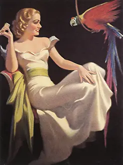 Macaw: A Dinner Date