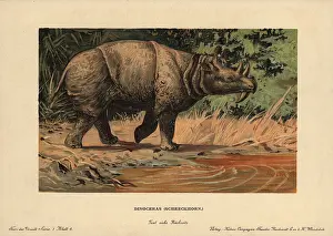 Tiere: Dinoceras, Uintatherium anceps, extinct herbivorous