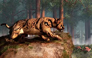 Vulnerability: Dinofelis, a prehistoric cat, gets ready to attack a group ?