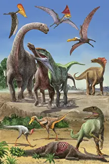 Pterosaur: Dinosaur food chain