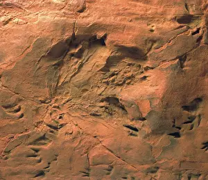 Footprint: Dinosaur footprints