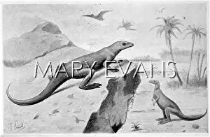 Hypsilophodon: DINOSAUR/HYPSILOPHODON