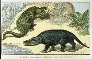 Megalosaurus: DINOSAUR/IGUANODON