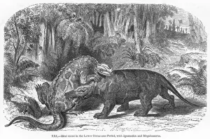 Megalosaurus: DINOSAUR/IGUANODON