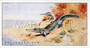 Mesosaurus: DINOSAUR/MESOSAURUS
