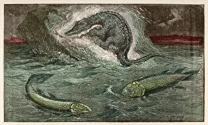 Dinosaurs: DINOSAUR/PROTOSAURUS