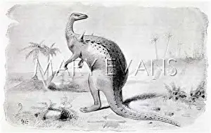 Scelidosaurus: DINOSAUR/SCELIDOSAURUS