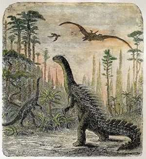 Dinosaurs: Dinosaur - Stegosaurus