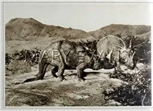 Styracosaurus: DINOSAUR/STYRACOSAURUS