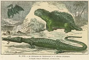 Dinosaurs: DINOSAUR/TELEOSAURUS