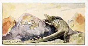 Teleosaurus: DINOSAUR/TELEOSAURUS?