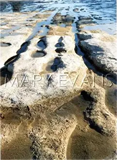 Hondo: DINOSAUR TRACKS/TEXAS