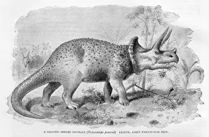 Prorsus: DINOSAUR/TRICERATOPS