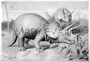 Prorsus: DINOSAUR/TRICERATOPS
