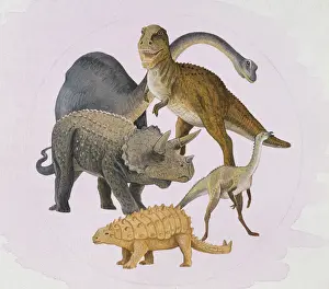 Scolosaurus: Dinosaurs