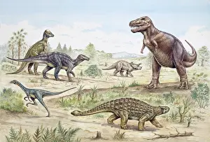 Ceratopia: Dinosaurs discovered in western USA